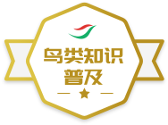 ����֪ʶ�ռ�ѫ��