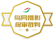 ������Ӱ�������