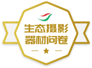 ��̬��Ӱ�����ʾ�ѫ��