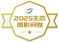 2025�й���̬��Ӱ�ʾ�����ѫ��