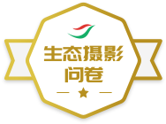 ��̬��Ӱ�ʾ�ѫ��