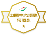 �й���̬��Ӱ����