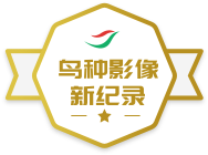 �й�����Ӱ���¼�¼